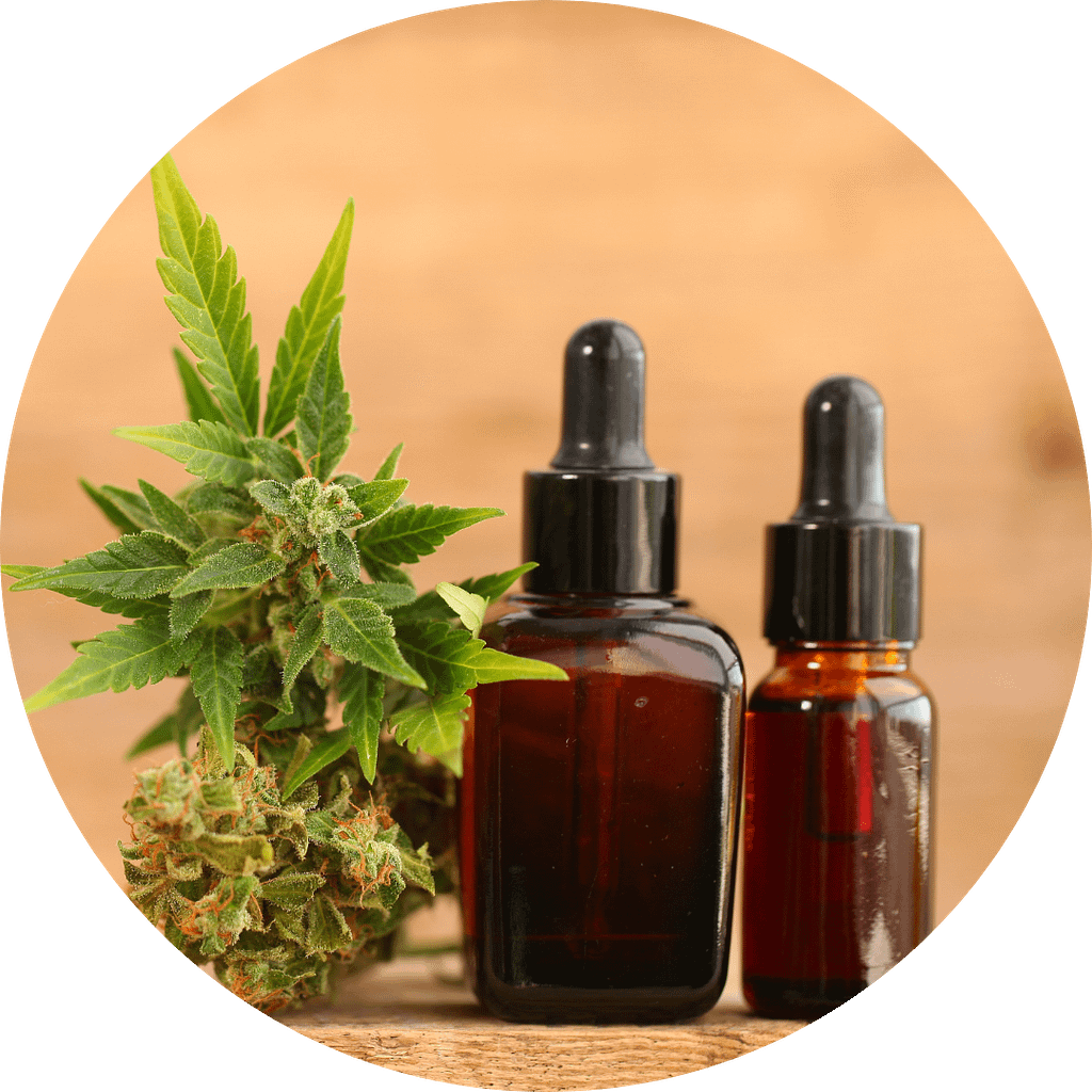 Medicina Cannabica Veterinária